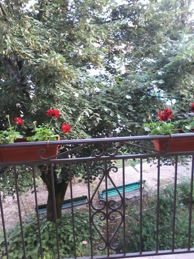 Apartments Olga Virpazar Extérieur photo