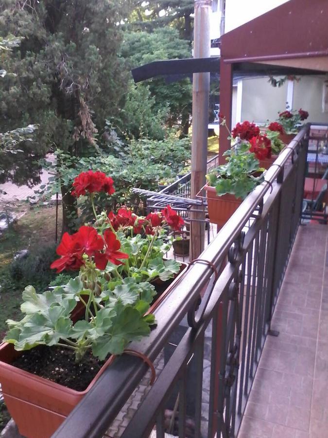 Apartments Olga Virpazar Extérieur photo